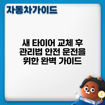 새 타이어 교체 후 관리법: 안전 운전을 위한 완벽 가이드