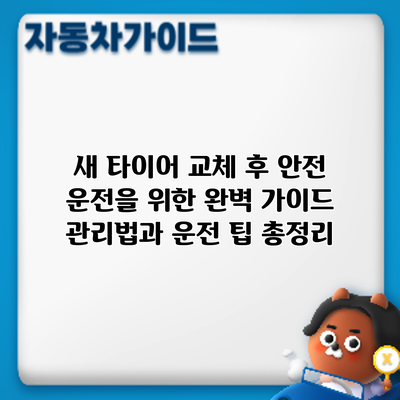 새 타이어 교체 후 안전 운전을 위한 완벽 가이드: 관리법과 운전 팁 총정리