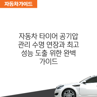 자동차 타이어 공기압 관리: 수명 연장과 최고 성능 도출 위한 완벽 가이드