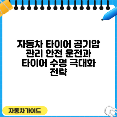 자동차 타이어 공기압 관리: 안전 운전과 타이어 수명 극대화 전략