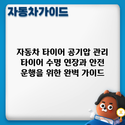 자동차 타이어 공기압 관리: 타이어 수명 연장과 안전 운행을 위한 완벽 가이드