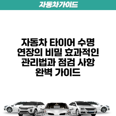 자동차 타이어 수명 연장의 비밀: 효과적인 관리법과 점검 사항 완벽 가이드