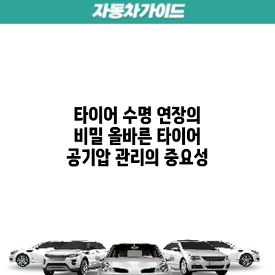 타이어 수명 연장의 비밀: 올바른 타이어 공기압 관리의 중요성