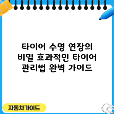 타이어 수명 연장의 비밀: 효과적인 타이어 관리법 완벽 가이드