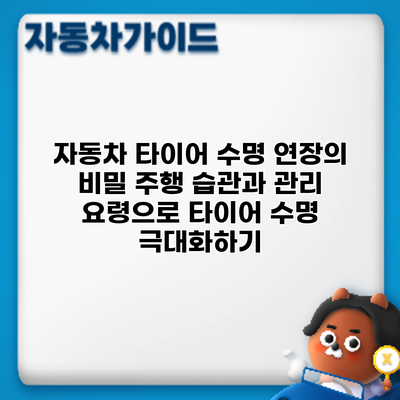 자동차 타이어 수명 연장의 비밀: 주행 습관과 관리 요령으로 타이어 수명 극대화하기