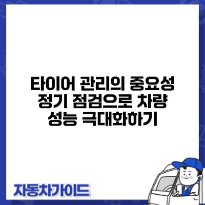 타이어 관리의 중요성: 정기 점검으로 차량 성능 극대화하기
