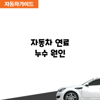 자동차 연료 누수: 원인