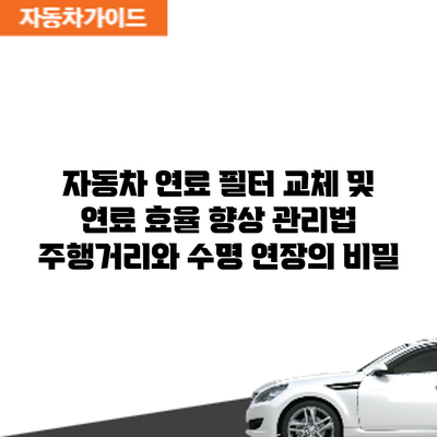 자동차 연료 필터 교체 및 연료 효율 향상 관리법: 주행거리와 수명 연장의 비밀