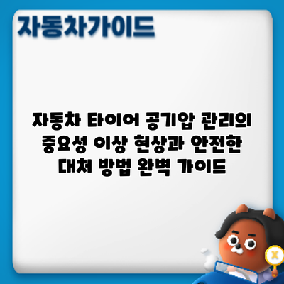 자동차 타이어 공기압 관리의 중요성: 이상 현상과 안전한 대처 방법 완벽 가이드