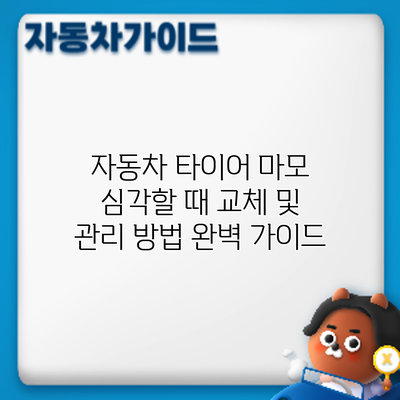 자동차 타이어 마모 심각할 때? 교체 및 관리 방법 완벽 가이드