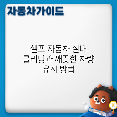 셀프 자동차 실내 클리닝과 깨끗한 차량 유지 방법
