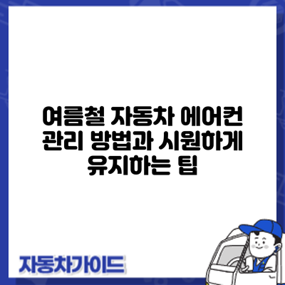 여름철 자동차 에어컨 관리 방법과 시원하게 유지하는 팁