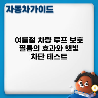 여름철 차량 루프 보호 필름의 효과와 햇빛 차단 테스트