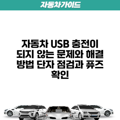 자동차 USB 충전이 되지 않는 문제와 해결 방법: 단자 점검과 퓨즈 확인