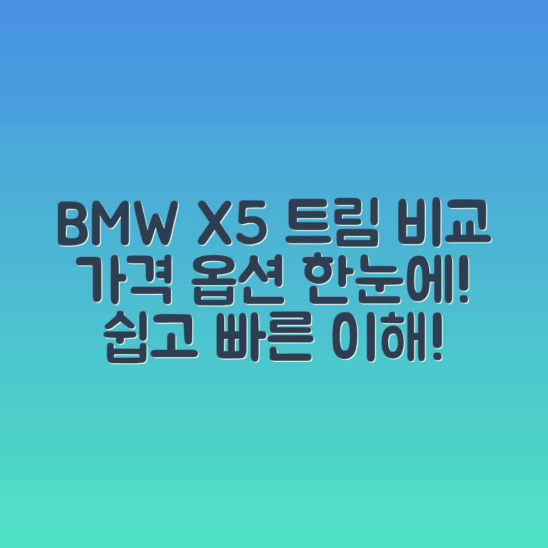 누구나 쉽게 이해하는 BMW X5 트림별 가격과 옵션 비교
