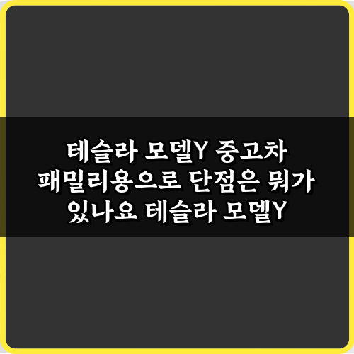 테슬라 모델Y 중고차 패밀리용 단점 7가지 총정리