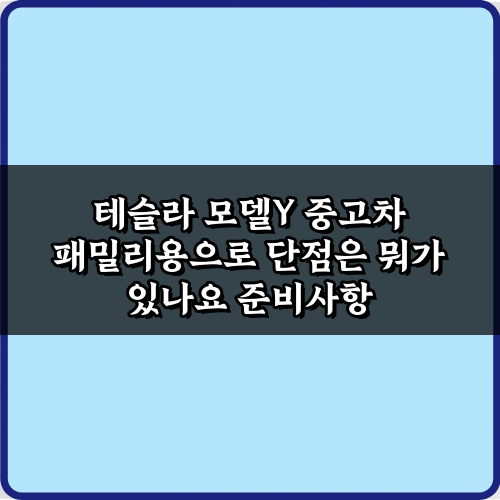 테슬라 모델Y 중고차 패밀리용 단점 7가지 총정리