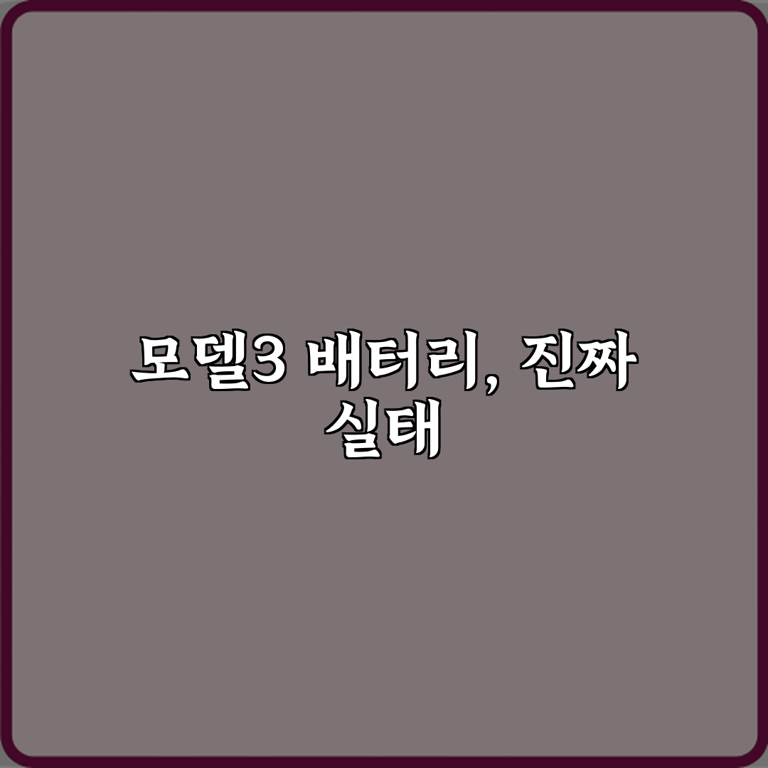 테슬라 모델3 중고차 배터리 열화가 국산 전기차보다 심한가요 직접 해봤어요 솔직한 후기