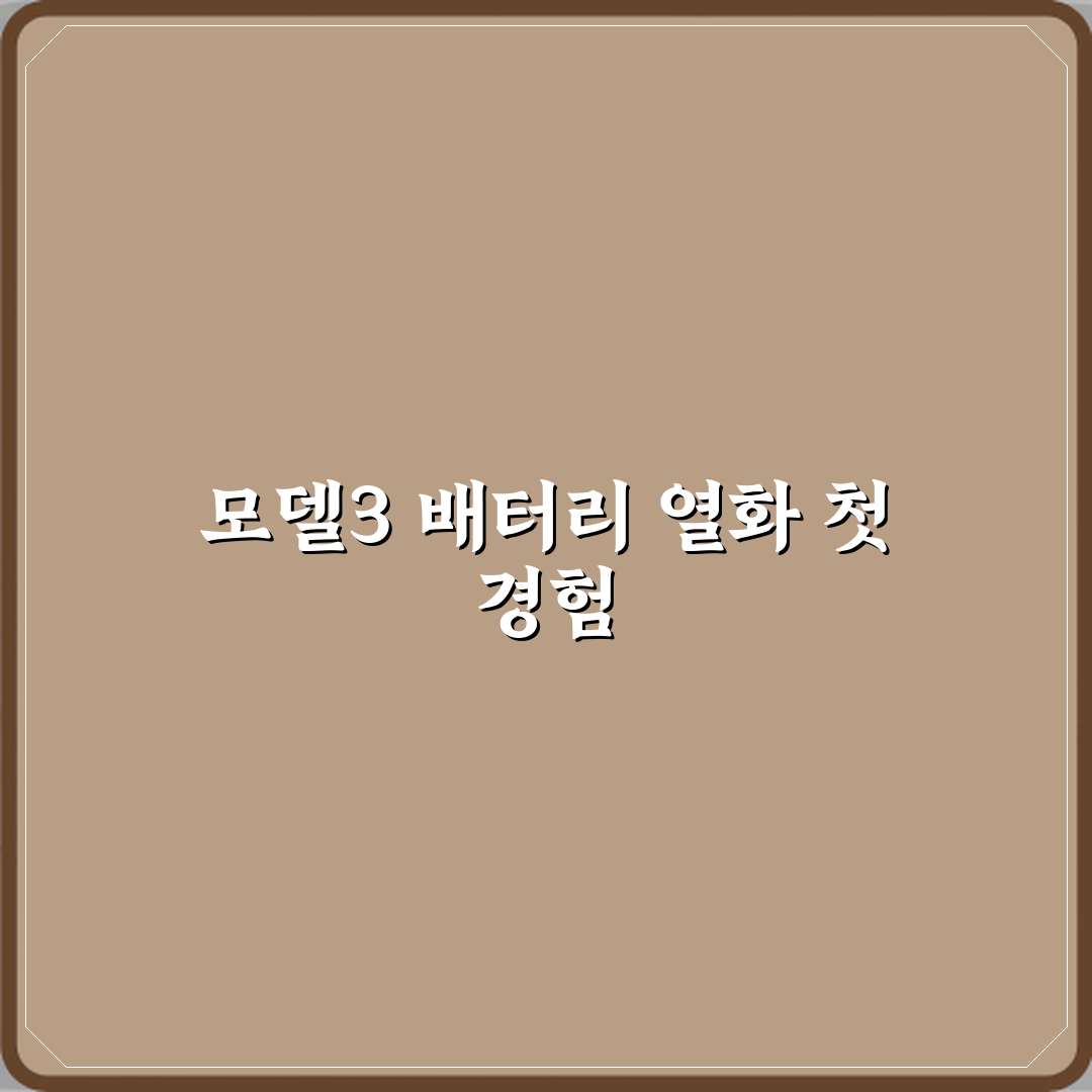 테슬라 모델3 중고차 배터리 열화가 국산 전기차보다 심한가요 직접 해봤어요 솔직한 후기